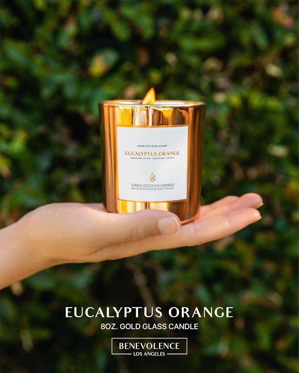 Premium Eucalyptus Orange Scented Candle – Long-Lasting, 45-Hour Burn – Luxury Natural Soy Wood Wick Candle for Home – Aromatherapy & Room Decor – 8Oz