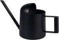 Stainless Steel Mini Watering Can for Indoor Plants - 11 oz (300 ml) Capacity