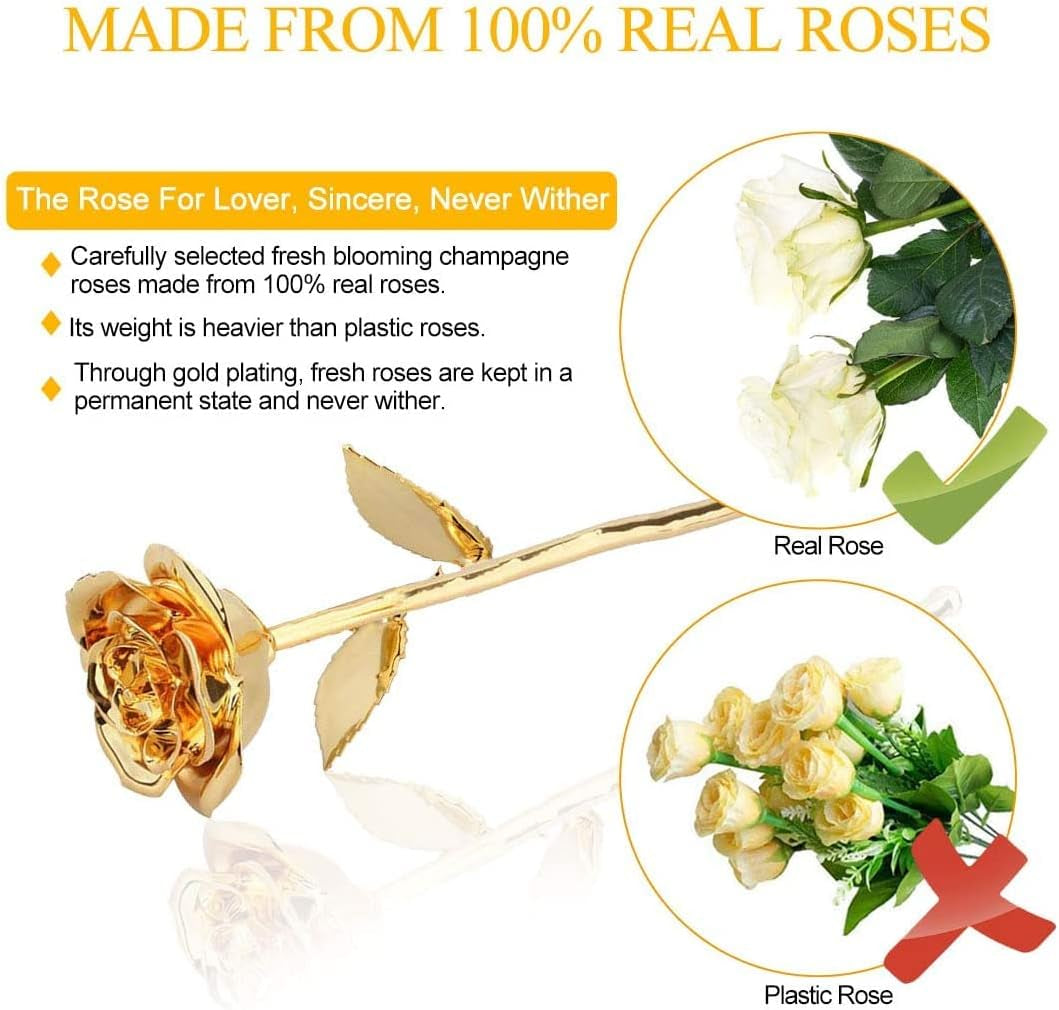 24K Gold-Plated Preserved Rose - Timeless Gift for Anniversaries & Special Occasions for Her (Gold)