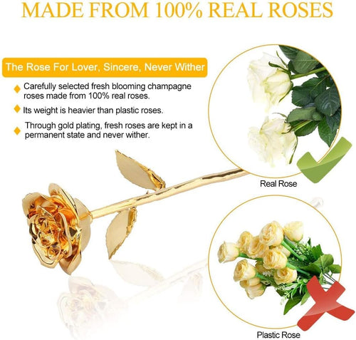 24K Gold-Plated Preserved Rose - Timeless Gift for Anniversaries & Special Occasions for Her (Gold)