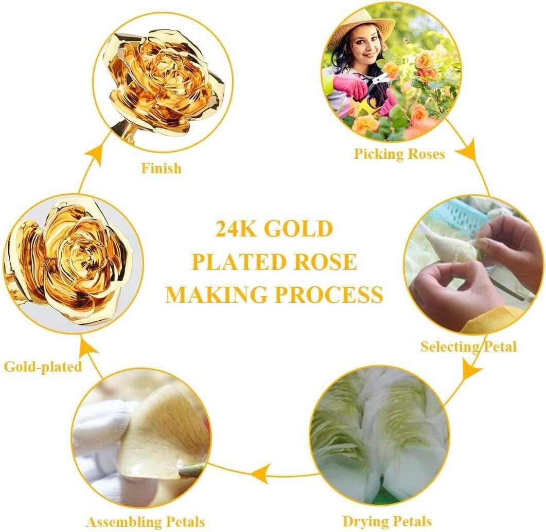 24K Gold-Plated Preserved Rose - Timeless Gift for Anniversaries & Special Occasions for Her (Gold)